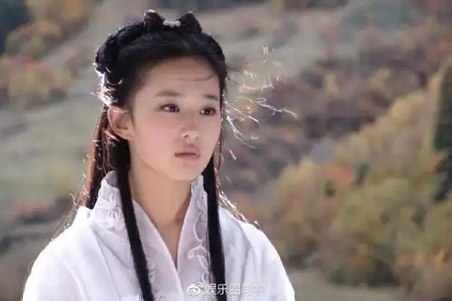 刘亦菲花木兰定妆照被放出,李连杰巩俐甄子丹也要参演