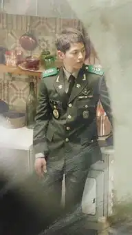 太阳的后裔掀迷彩家居潮流
