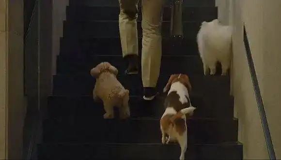 底层与更底层的零和博弈奉俊昊是如何讲述阶级故事的