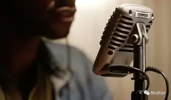 b站知名vlogup主俊晖jan分享使用舒尔mv51数字大型振膜电容话筒心得
