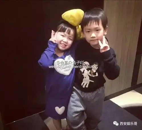 马蓉成立工作室请鹿晗拍大片洗白成公益人微博账号卖了300万
