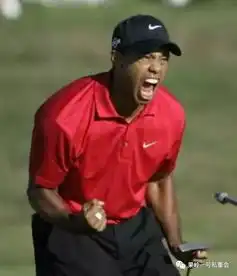 老虎伍兹十大精彩进球
