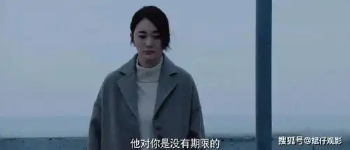 12年期待圆梦了,钟汉良李小冉再演恋人,今生有你定档央视