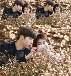 太阳的后裔晋九金智媛领衔奶酪陷阱继承者热门韩剧配角情侣pk