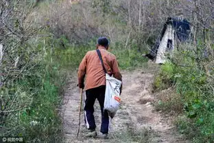 七旬老人蜗居山中一个月为儿孙看山守财
