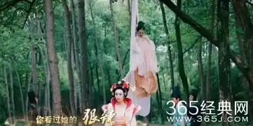 武媚娘传奇高阳掐死安定公主为什么嫁祸给王皇后武媚娘是怎么知道凶手是高阳的