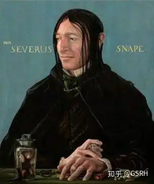 大家到底为什么喜欢哈利波特里的斯内普教授
