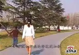 原创电视散文风筝上的感情线