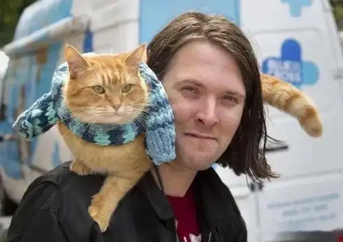 流浪猫鲍勃去世,主人却在宣布死讯当天就要网友捐款