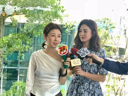 洪小铃多年无戏拍,才41岁就发福了,放羊的星星时候最美