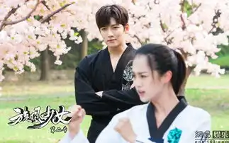 老九门诛仙微微旋风少女2暑期再不用看还珠格格
