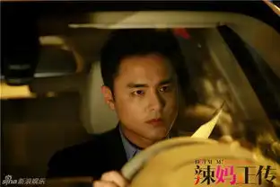 孙俪辣妈正传剧照
