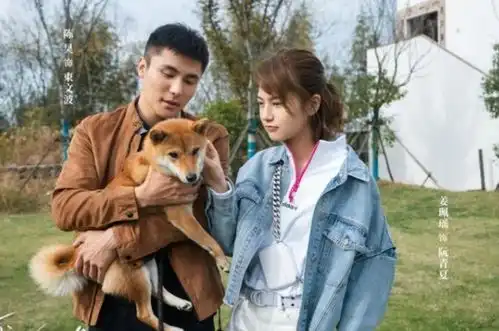 中国版太阳的后裔白敬亭要当国民老公了
