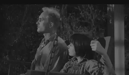 杀死一只知更鸟一个人废掉最快的方式,不读书内心充满偏见
