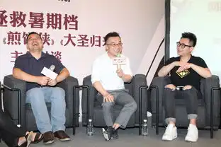 捉妖记煎饼侠主创谈国产片拯救暑期档
