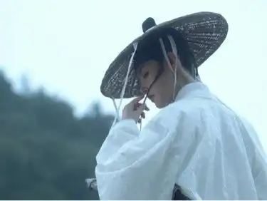 雪中悍刀行女神实力排名,青鸟只能排第四,南宫仆射成陆地神仙