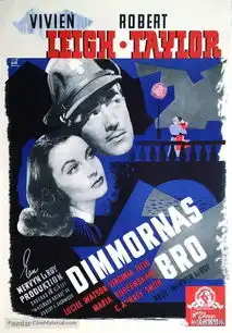 经典怀旧电影魂断蓝桥海报相册,男女主角太好看了
