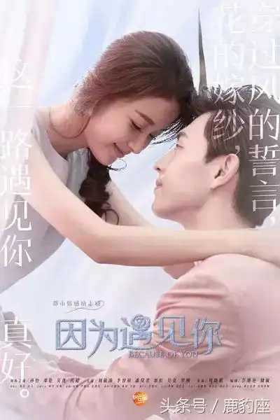 2017上半年电视剧收视率排行榜收视率前十的电视剧
