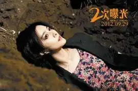 李玉揭秘二次曝光灵感来自璩美凤性爱光碟案