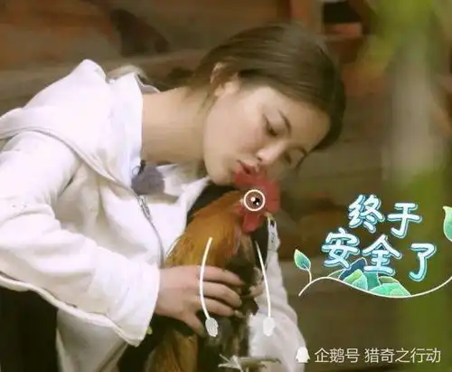 哈哈农夫三人逛公园,看到照片中的女孩,网友这是杨超越