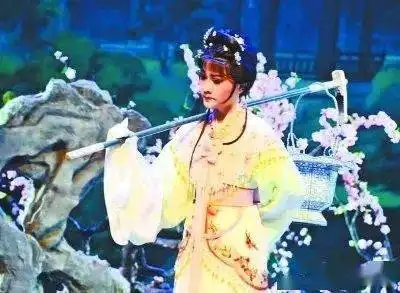 戏曲小课堂戏曲剧目介绍14越剧红楼梦