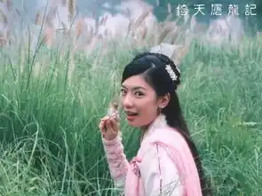 倚天屠龙记罕见幕后花絮曝光,想不到你们是这样的高圆圆贾静雯
