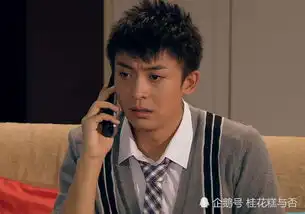 爱情公寓十年后才发现,将男主们的名字倒过来念,会笑到喷饭
