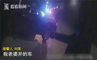 醉汉边哄老婆边开车撞绿化带结果老婆头也没回