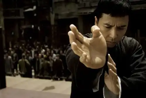 甄子丹主演好莱坞大片票房超28亿,吴京的巨齿鲨2能否赶超
