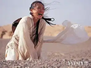 有关电影英雄剧照一起了解这部传奇的武侠电影