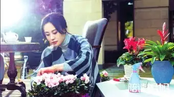 荧屏暑期档新生代挑大梁消暑甜梦吸睛减压