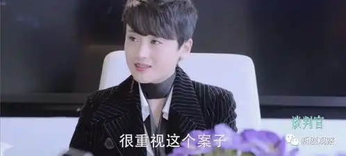 谈判官售价约2.9亿,华策能凭这个剧赚1.3亿