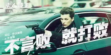 会员仅需购19.9元狮子王素人特工
