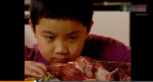 家有儿女恩格尔系数真高苦了夏东海,可惜猴瘦的刘星一顿五块肉饼也不见长啊