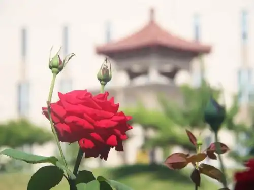 图组这就是培华人心中的小确幸