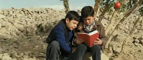 重温经典追风筝的人,带你了解阿富汗人民的爱与伤