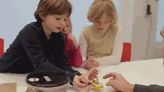 教育科学院研究发现这些方法,可以让孩子学习更高效