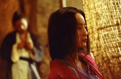 看不懂的神作,东邪西毒好在那里难以理解但意味深长