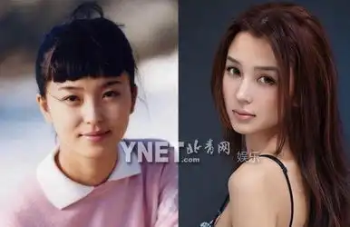 杨幂出道前后容貌巨变揭秘女星整容不择手段组图
