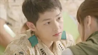 台版太阳的后裔必备桥段网打扫油漆打小蜜蜂
