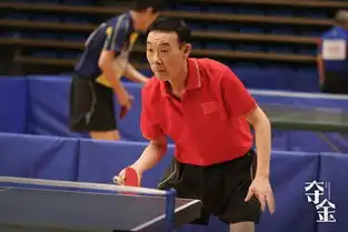 乒坛名宿助力夺金乒乓精神即将亮剑荧幕