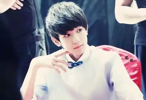 王源小小年纪太会挣钱,给父母买车买房,让人情何以堪