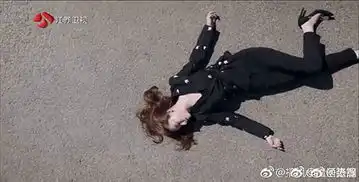 猎毒人大结局楚莹被车撞引热议
