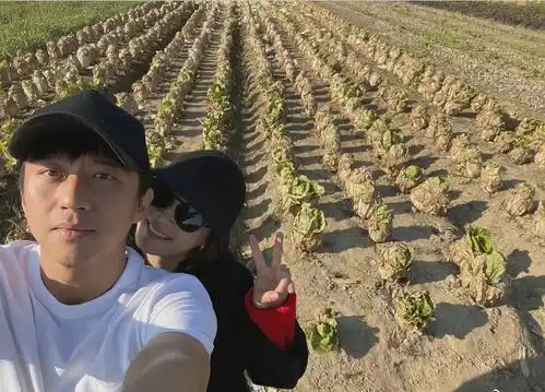 邓超与孙俪在菜地合影,4字配文一语双关,可大家的关注点却是俩人的衣服