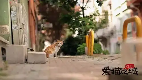 宠物电影走俏背后的都市症候群