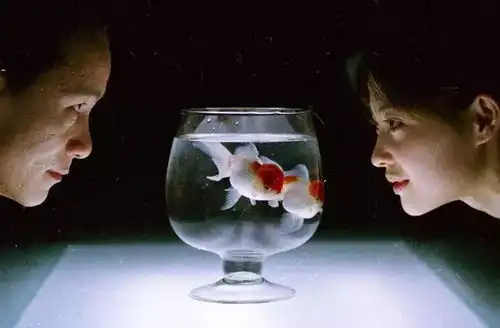 专访猎场导演姜伟心中有观众不代表一定要跪舔
