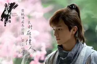 组图射雕曝桃夭海报靖蓉玉箫声中诉情长
