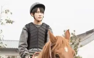 易烊千玺骑马照
