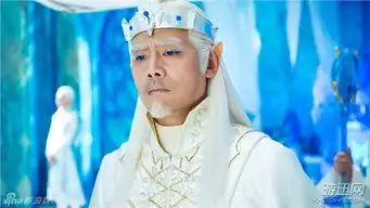 幻城电视剧冰王剧照冷峻冰王似要冻结全世界
