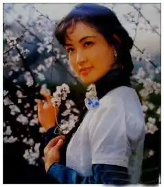 80年代大牌明星经典剧照